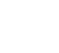 Will Field Family Office